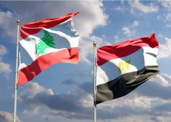 التمثيل التجاري ينظم ويبينار مع كارفور لتعزيز صادرات المفروشات المصرية إلى لبنان والأردن والعراق