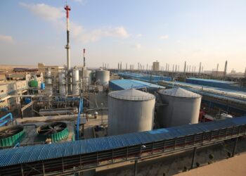 Evergrow Signs offtake Agreement with Fertigo to Supply 60,000 Tons of Potassium Sulfate Annually Starting in 2026