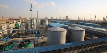 Evergrow Signs offtake Agreement with Fertigo to Supply 60,000 Tons of Potassium Sulfate Annually Starting in 2026