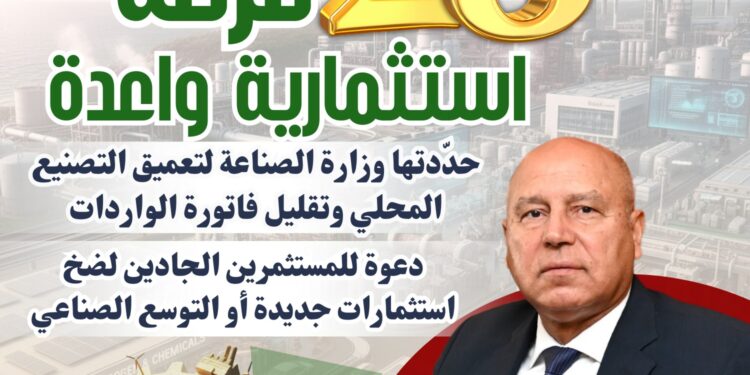 عاجل .. تفاصيل 28 فرصة استثمارية واعدة حددتها وزارة الصناعة لتعميق التصنيع المحلي