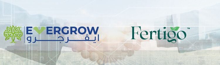 «إيفرجرو» و«فيرتيجو» تتعاونان لتوريد 60 ألف طن من سلفات البوتاسيوم سنويًا بدءًا من 2026
