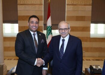 هيثم عكري: انعقاد اللجنة العليا المصرية اللبنانية يفتح آفاقًا جديدة للتكامل الزراعي والاستثمار المشترك