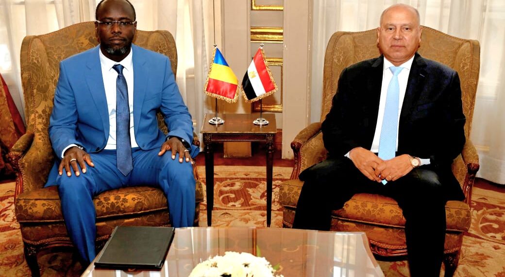 كامل الوزير : خطة مشتركة لإنشاء مجازر آلية ومزارع حيوانية في تشاد وتصدير منتجاتها إلى مصر وأوروبا