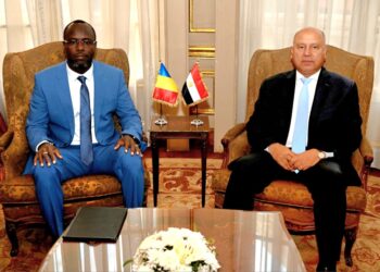 كامل الوزير : خطة مشتركة لإنشاء مجازر آلية ومزارع حيوانية في تشاد وتصدير منتجاتها إلى مصر وأوروبا