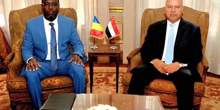 كامل الوزير : خطة مشتركة لإنشاء مجازر آلية ومزارع حيوانية في تشاد وتصدير منتجاتها إلى مصر وأوروبا