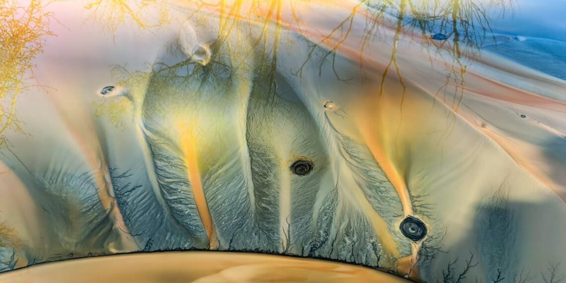 إفتتاح مراسم جوائز هواوي XMAGE لعام 2025 والمعرض السنوي في باريس