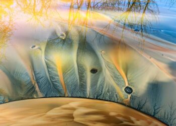 إفتتاح مراسم جوائز هواوي XMAGE لعام 2025 والمعرض السنوي في باريس