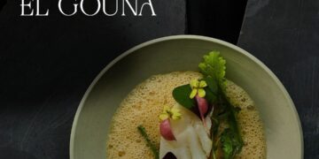 الجونة تتعاون مع Flavor Republic Ventures لتطوير منصة مبتكرة في فنون الطهي