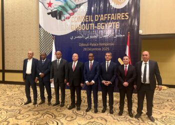 كامل الوزير يستعرض جهود مصر بمجالي الصناعة والنقل وسبل زيادة حجم التعاون المشترك مع جيبوتي