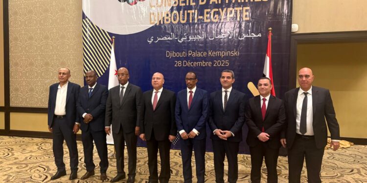 كامل الوزير يستعرض جهود مصر بمجالي الصناعة والنقل وسبل زيادة حجم التعاون المشترك مع جيبوتي