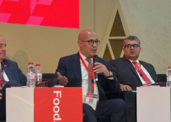 نائب التصديري للحاصلات الزراعية: الابتكار والقيمة المضافة مفتاح توسع الصادرات المصرية عالميًا