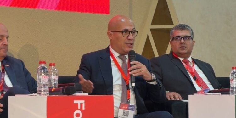 نائب التصديري للحاصلات الزراعية: الابتكار والقيمة المضافة مفتاح توسع الصادرات المصرية عالميًا