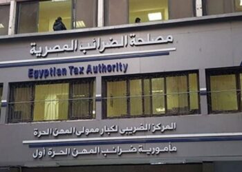 رشا عبد العال: انطلاق موسم الإقرارات الضريبية 2025 رسميًا وتيسيرات شاملة للممولين