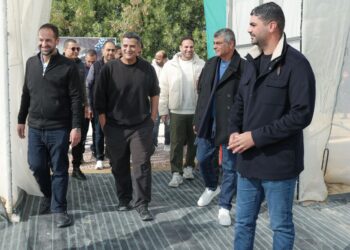 Cairo 3A Invests EGP 442 Million to Boost Egypt’s Blueberry Exports