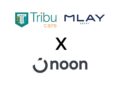 Tribu Care, the Exclusive Agent of Mlay in Egypt, Celebrates the Success of Its Partnership with noon in 2025 and Announces Its Growth Vision for 2026