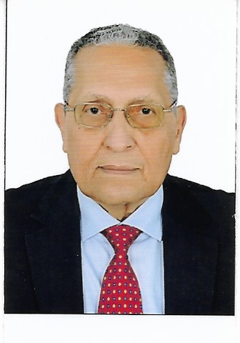 مصطفي عبيد يكتب.. نظرة الي صناعة المعادن في مصر