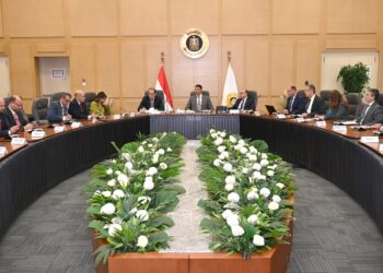 وزير الصناعة يبحث مع وزيري المالية والاستثمار تطوير محاور البرنامج الوطني لتنمية صناعة السيارات