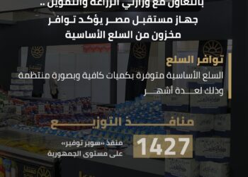 «مستقبل مصر»: 1427 منفذًا لـ«سوبر توفير» تدعم إتاحة السلع الأساسية في السوق المحلي