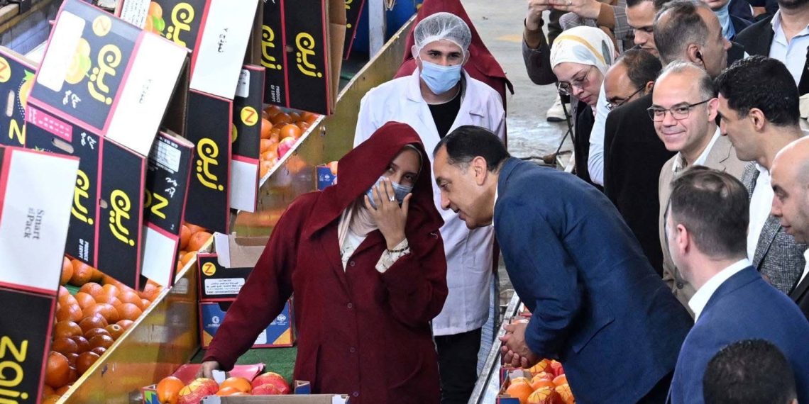 محطة «الصواف» ببنها.. بوابة تصدير 75% من الموالح للأسواق العالمية