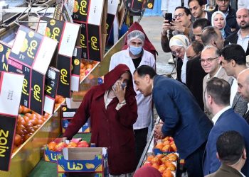 محطة «الصواف» ببنها.. بوابة تصدير 75% من الموالح للأسواق العالمية