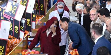 محطة «الصواف» ببنها.. بوابة تصدير 75% من الموالح للأسواق العالمية